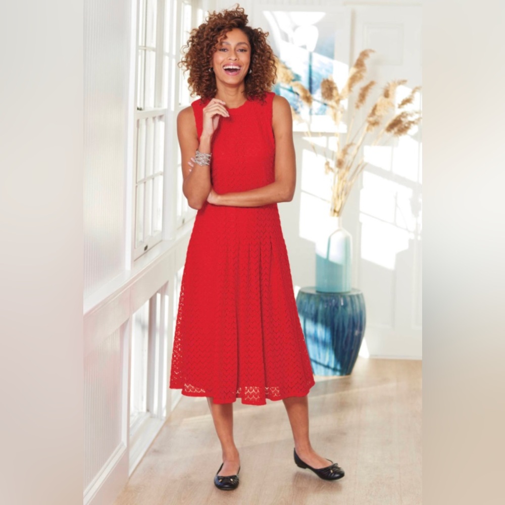 NEW Sleeveless knit lace dress has a back zip and all-around pleated skirt.